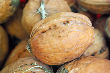 Image showing Fresh nut