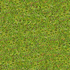 Image showing Meadow Grass. Seamless Texture.