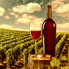 Image showing Glass and bottle of red wine against vineyard landscape