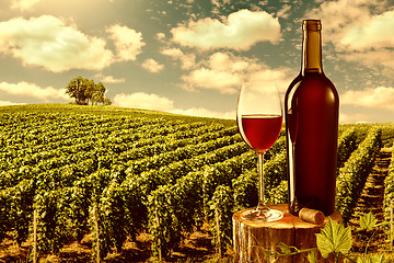 Image showing Glass and bottle of red wine against vineyard landscape