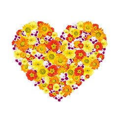 Image showing heart of color flowers isolated on white