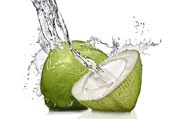 Image showing splash of water on green coconut isolated on white