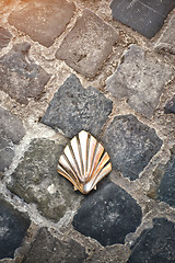 Image showing Santiago shell (Pilgrims shell), St James shell in Brussels, Bel