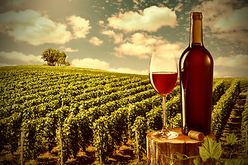 Image showing Glass and bottle of red wine against vineyard landscape