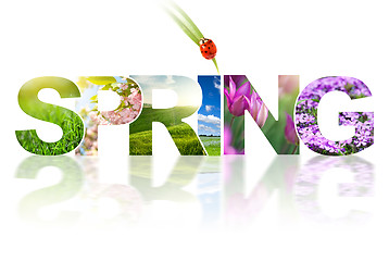 Image showing Spring word collage made of different photos isolated on white