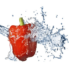 Image showing fresh water splash on red pepper isolated on white