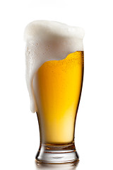 Image showing Beer in glass isolated on white background