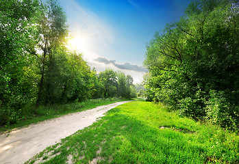 Image showing Country road into forest