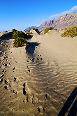 Image showing abstract yellow dune beach  hil   mountain in the   lanzarote sp