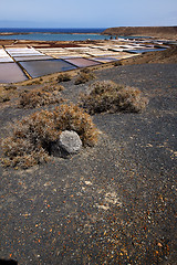 Image showing water coastline salt in  lanzarote spain  