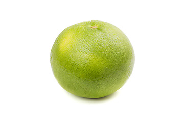 Image showing Sweetie fruit with water drops