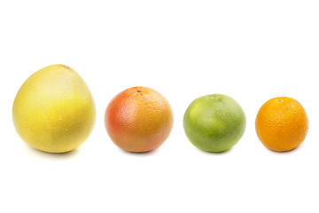 Image showing Pomelo, grapefruit, sweetie, orange