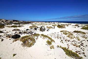 Image showing spain  isle white  beach  plant   rocks    lanzarote 