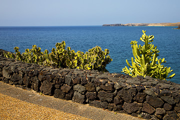 Image showing cactus coastline  beach  water  boat    summer 