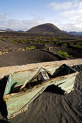 Image showing crops viticulture  winery lanzarote wall   cultivation barrel