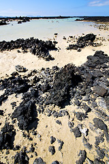 Image showing people of black rocks in the   lanzarote 