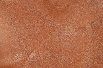 Image showing leather background