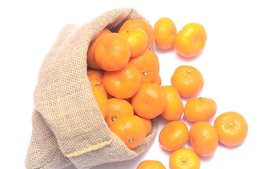 Image showing tangerines