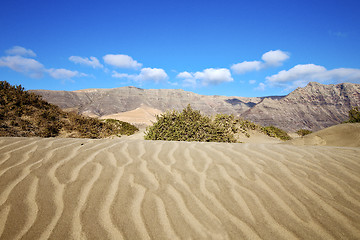 Image showing abstract yellow dune beach  hil and mountain in    lanzarote  