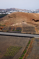 Image showing street  home viticulture  winery lanzarote  