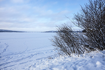 Image showing Winter Landscape