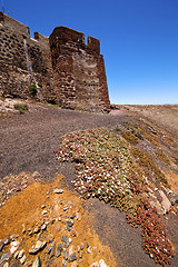 Image showing flower arrecife  lanzarote  spain the old wall castle  sentry  
