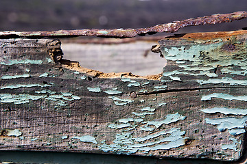 Image showing texture in spain lanzarote abstract green brown 