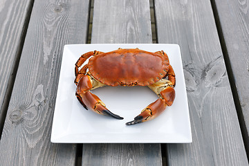 Image showing Cooked crab on white plate