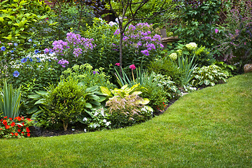 Image showing Garden and flowers