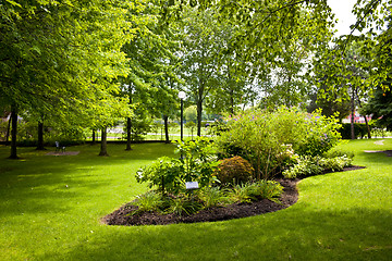 Image showing Garden in park