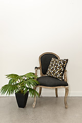 Image showing Antique armchair and plant near wall