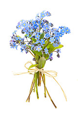 Image showing Bouquet of forget-me-nots