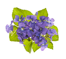 Image showing Bouquet of violets