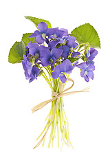 Image showing Bouquet of violets