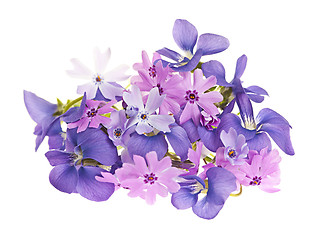 Image showing Bouquet of spring flowers