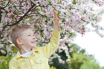 Image showing boy at spring time