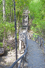 Image showing wooden bridge