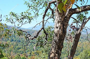 Image showing mountains