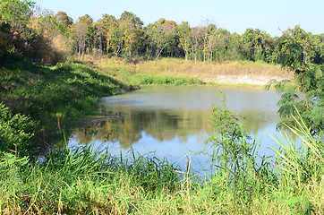 Image showing tropical lake