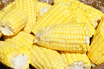 Image showing ripe corn