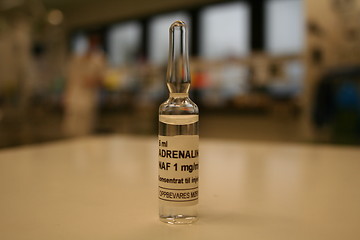 Image showing Adrenalin II