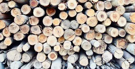 Image showing woodstack