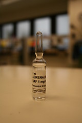 Image showing Adrenalin