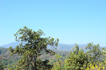 Image showing mountains