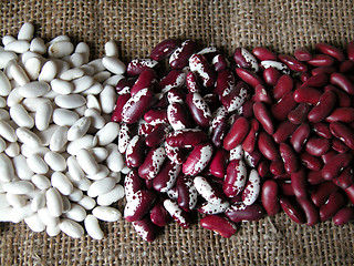 Image showing beans