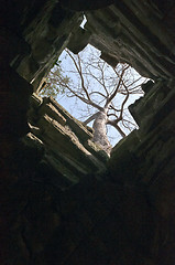 Image showing A view upwards inside the tower