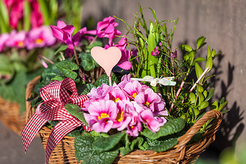 Image showing Background of colourful vivid summer flowers