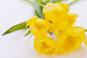 Image showing Bunch of cheerful yellow tulips