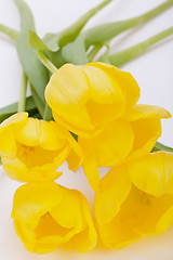 Image showing Bunch of cheerful yellow tulips