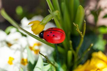 Image showing Background of colourful vivid summer flowers